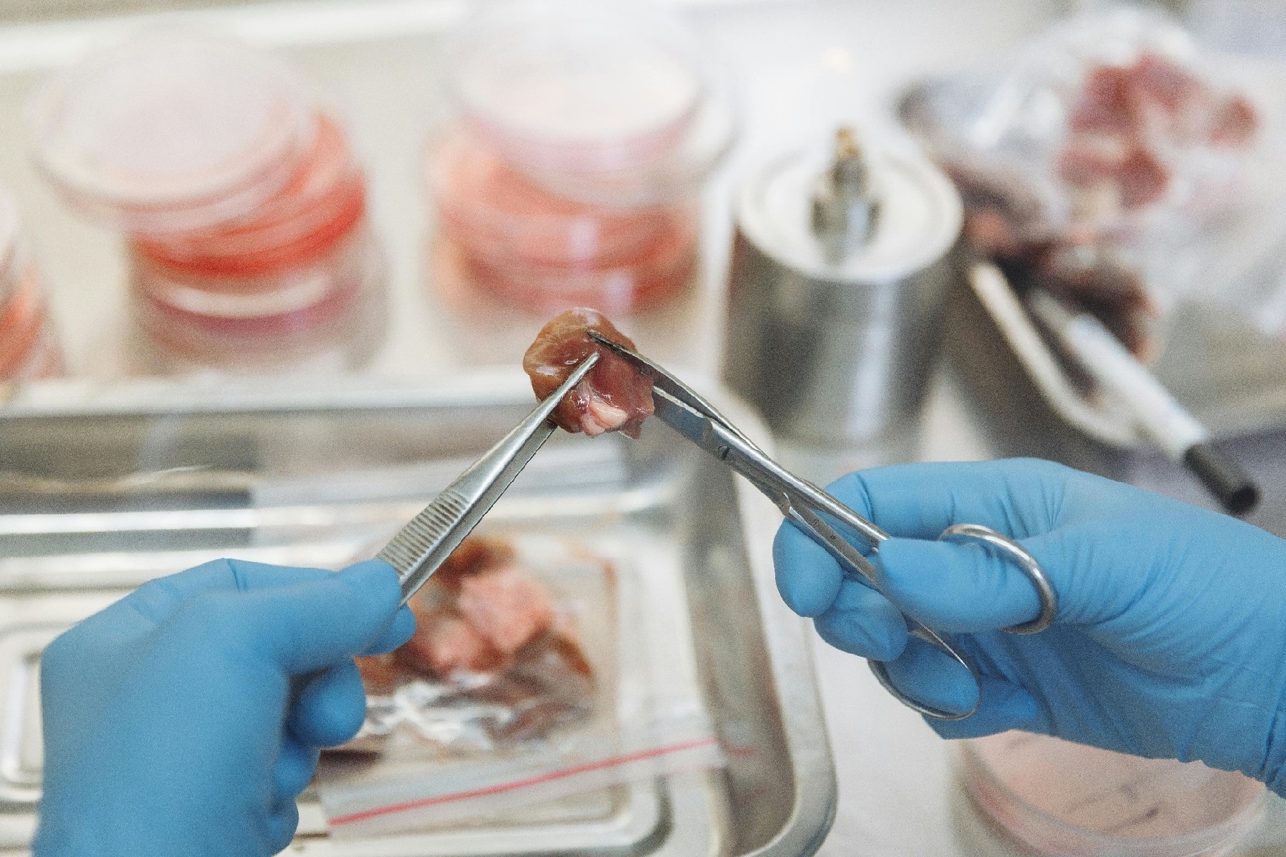 From Lab to Table: Morimatsu Drives Cultured Meat Scale-Up
